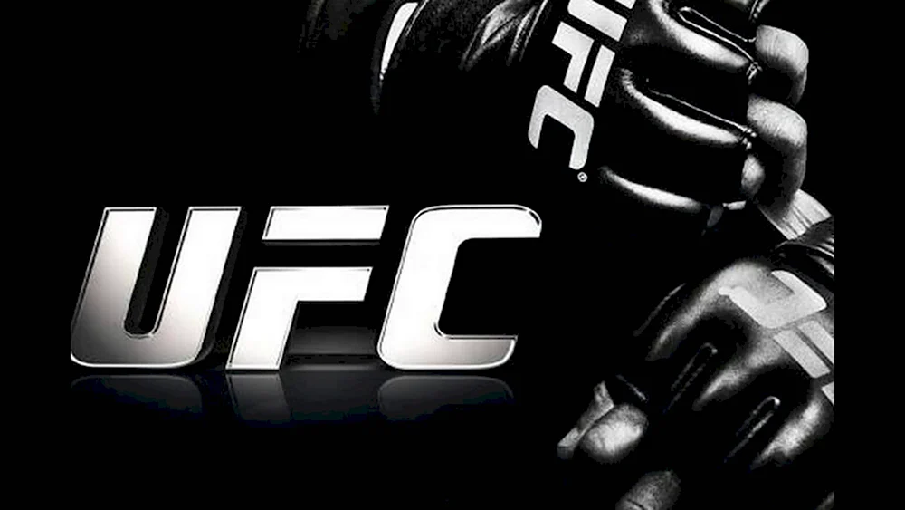 Галерея игры EA Sports UFC 4 :: Все изображения