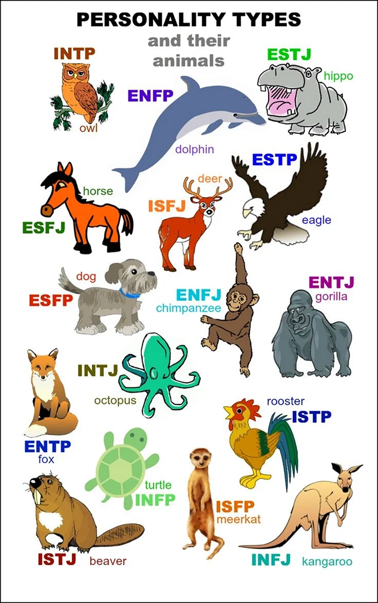 Животные mbti - 29 шт.