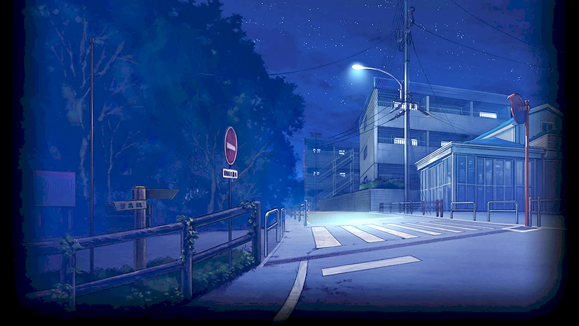 Ночная улица аниме - 44 шт.